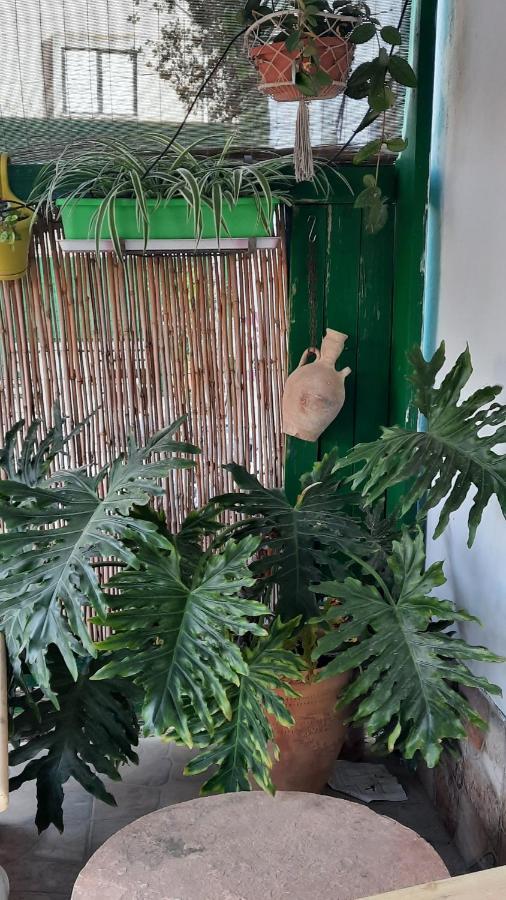 הבית הירוק - Green House Arad Luaran gambar